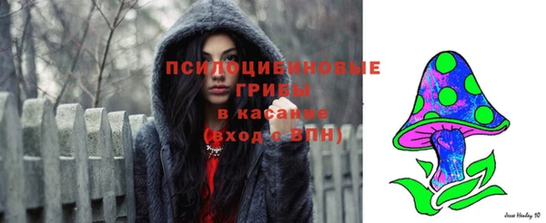 прущие крисы Абаза