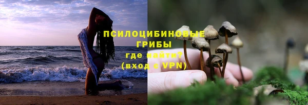 прущие крисы Абдулино