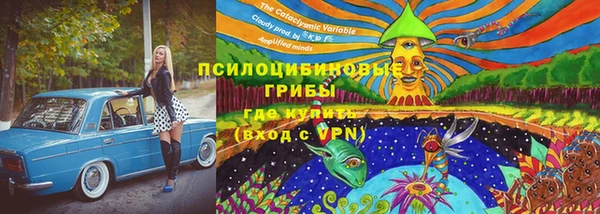 прущие крисы Абаза