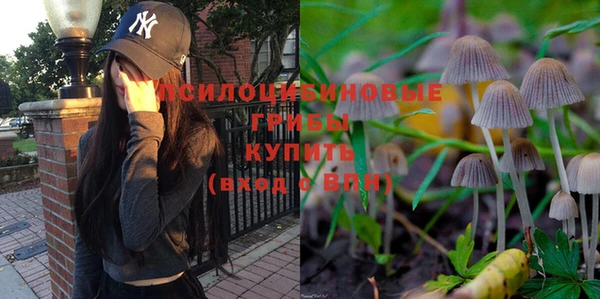таблы Калининец