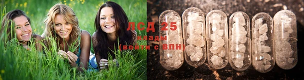 твердый Абинск