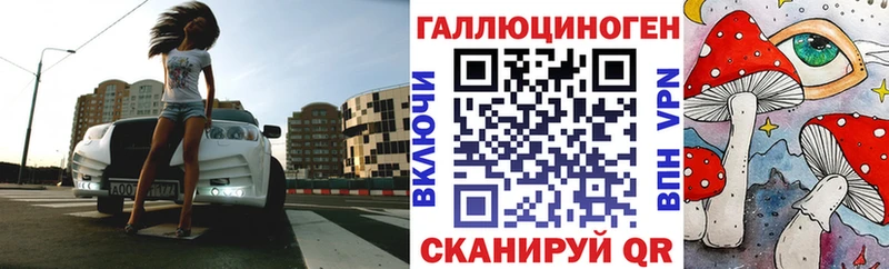 Псилоцибиновые грибы Cubensis  Ильский 